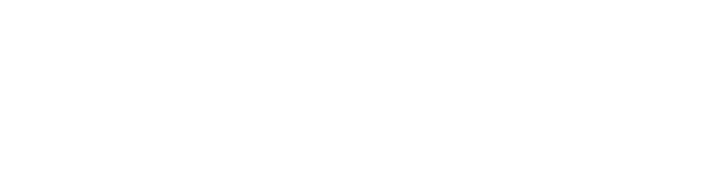 Touareg - Corretora de Seguros São José dos Pinhais